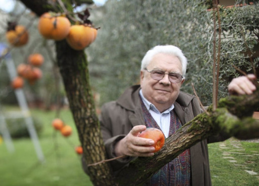 Tenuta San Guido, producteur de vins de Toscane